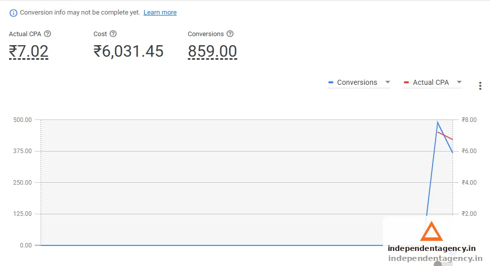 Google Ads campaign performance dashboard for a plywood business in Google Ads · Plywood
